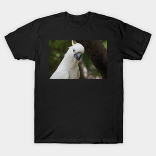 Cockatoo Drinking T-Shirt